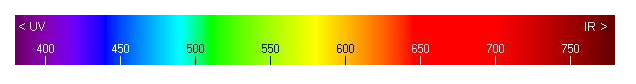 blob.png blob.png